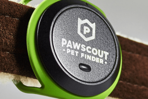 Pawscout Smart Digital Tag + Pet Finder