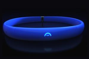 Arden Smart Collar & Bracelet for Your Dog