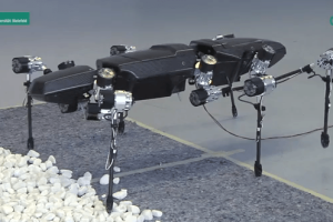 HECTOR 6-Legged Walking Robot In Action