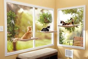 Sunny Seat Cat Window Bed Keeps Your Pet Comfortable