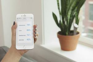 Sprout: Sensor + App + Ultrasound for Plants