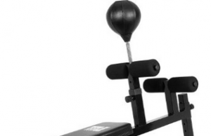 TITLE Precision Punch Incline Ab Board