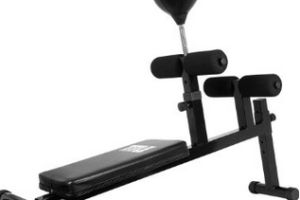 TITLE Precision Punch Incline Ab Board