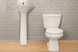 Redirect: Conserve Water When You Flush the Toilet