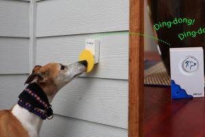 Pebble Smart Doggie Doorbell w/ Treat Holder