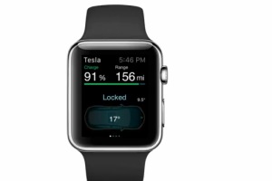 Apple Watch Tesla Car App