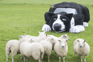 Floss: Giant Sheep Dog Car