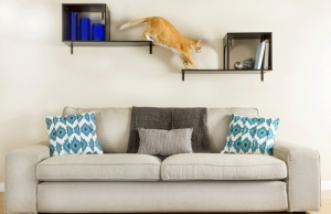 Sophia Wall Mounted Cat Tree