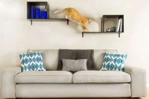 Sophia Wall Mounted Cat Tree