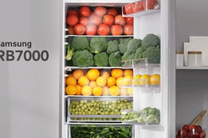 RB7000 Refrigerator w/ Adjustable Shelves & Fresh Zone