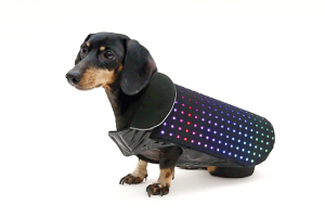 Disco Dog: Smartphone Controlled LED Dog Vest