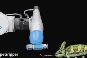 FlexShapeGripper Inspired By Chameleon’s Tongue