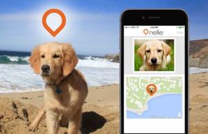 Where’s Nellie: Smart Dog Tracker