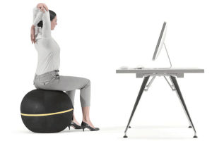 Technogym Wellness Ball for Active Sitting