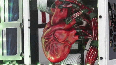 heart computer