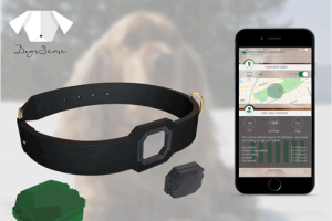 DogsSense: Track Your Dog’s Health, Activity, Location