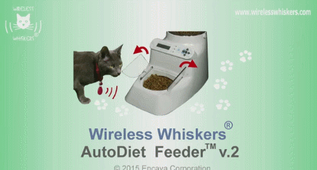 auto-feeder