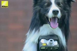 Heartography SmartCase: Heart Rate As a Camera Trigger