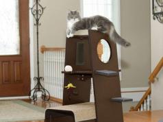 Sauder Modular Modern Cat Tower To Spoil Your Cat