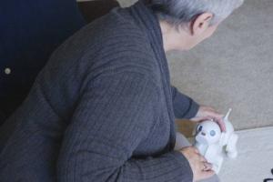 Bo Robotic Dog Companion for Seniors