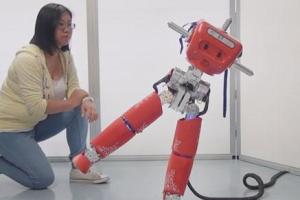 iCub Humanoid Robot Balancing