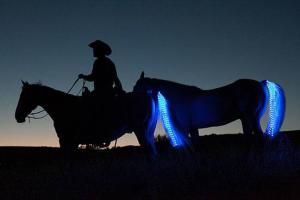 Tail Lights: LED Lighting Safety System for Horses