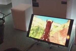 Virtual Reality Horse Simulator for Morpheus