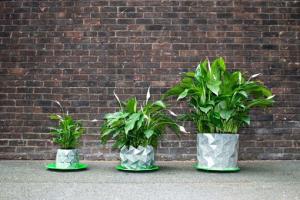 GROWTH: Origami Pot Grows With Your Plants