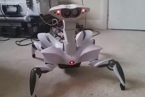 Hacking a WooWee Robot With Raspberry Pi