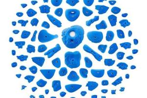 eGrips Climbing Holds Kit for Your Home Gym