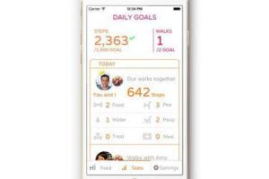 Hachiko Smart Dog Sensor: Activity Monitor for Pets