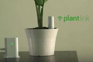 PlantLink Smart Soil Sensor