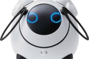 Omnibot OHaNAS Robot Pet