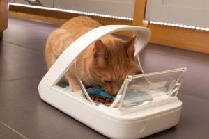 SureFeed Microchip Pet Feeder: Control Your Pet’s Diet