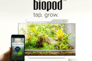 Biopod: App-enhanced Microhabitat for Plants & Animals