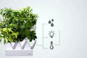 Plug & Plant: App-enabled Smart Vertical Garden