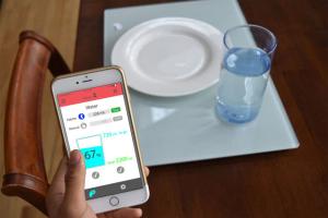 AEGLE Palette: Smart Digital Diet Tool