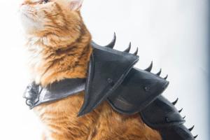 3D Printed Cat Armor [Video]