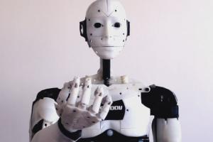 InMoov 3D Printed & Open Source Humanoid Robot