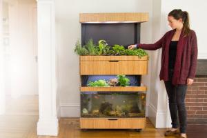 Grove Ecosystem: Grow Your Own Food [App-enabled]