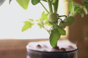 AeroPro Aeroponic Grow System