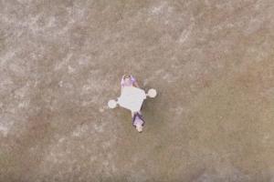 Incredible Folding Table 2.0