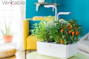 VERITABLE Autonomous Indoor Garden