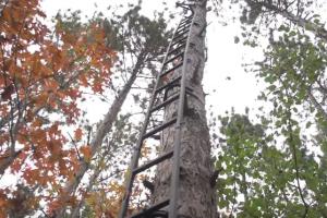 Guide Gear 20′ Tree Ladder