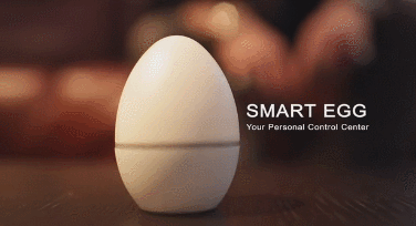smart egg