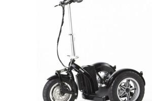 Triviki Electric Standup Vehicle