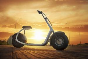 Citycoco Electric Scooter Gets You Around