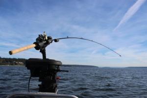 FishSentry: Connected Fishing Rod w/ Sensors