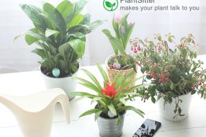 PlantSitter Smart Plant Monitor