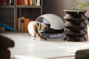 Catspad: Smart Food & Water Dispenser for Cats